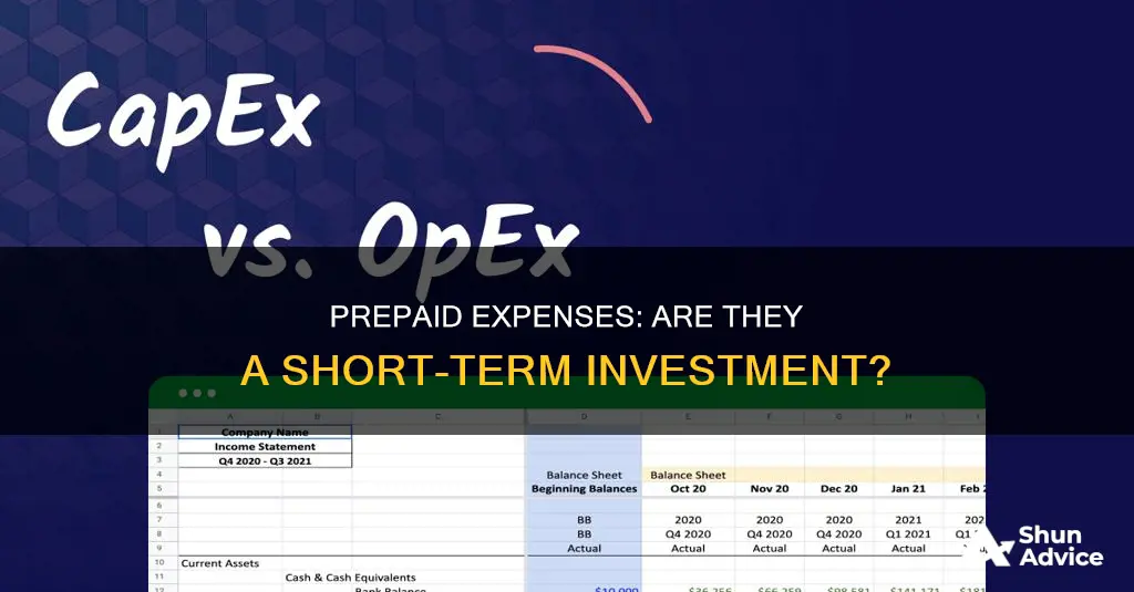 are prepaid expenses a short term investment