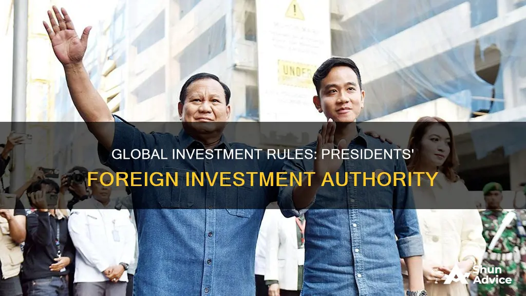 are presidents allowed foreign investment