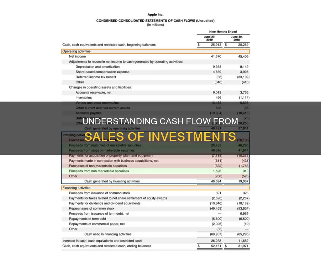 are sale of investments cash flow