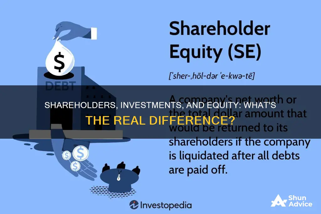 are shareholders investment and equity the same thing