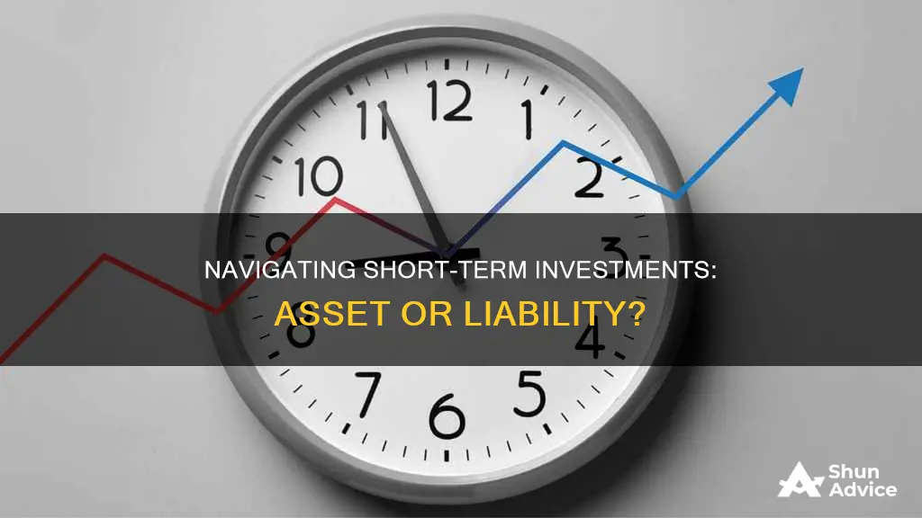 are short term investment an asset or liability