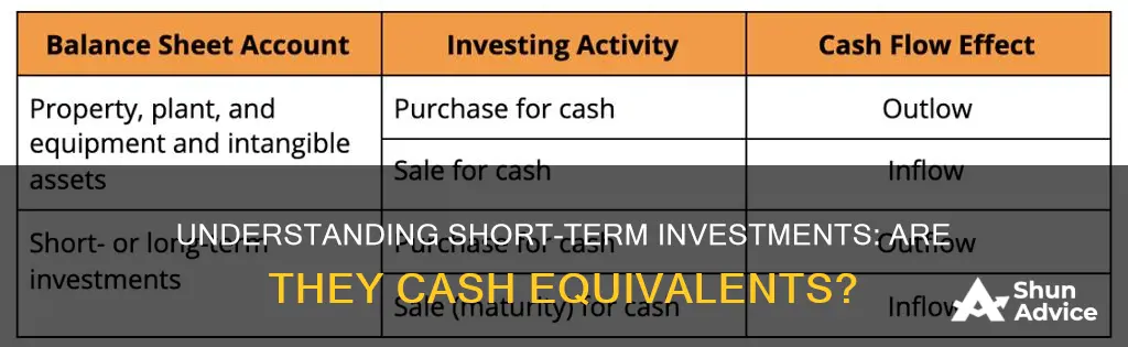 are short term investments cash equivalents