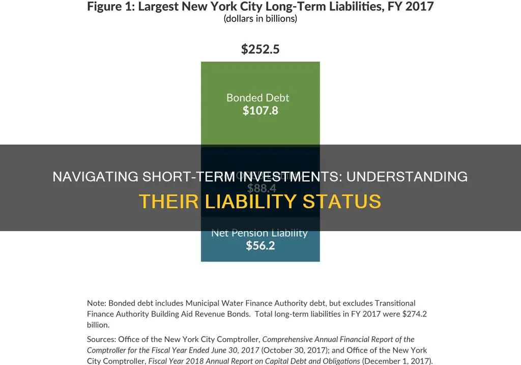 are short term investments liabilities