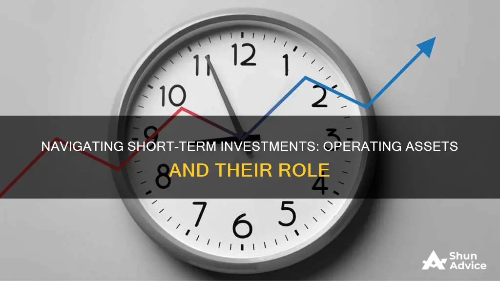 are short term investments operating assets