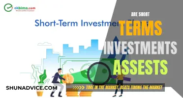 Short-Term Investments: Are They Real Assets?