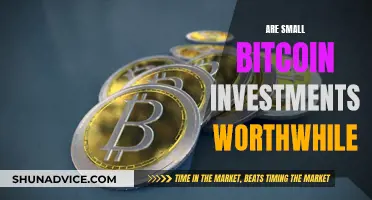 Small Bitcoin Investments: Worth the Risk?