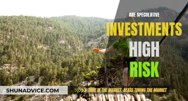 Speculative Investments: High-Risk, High-Reward Opportunities?