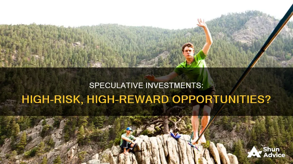 are speculative investments high risk