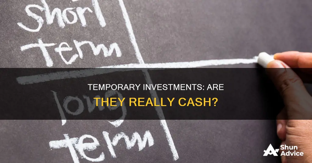 are temporary investments cash