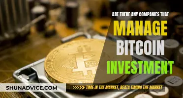 Explore the Best Bitcoin Investment Management Companies