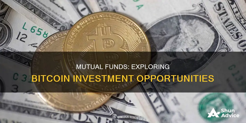 are there any mutual funds that invest in bitcoin