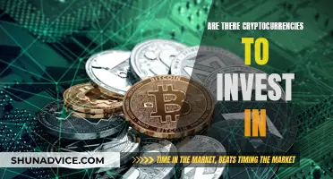 Best Cryptocurrencies to Invest in This Year