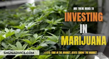 Marijuana Investment: Risky Business or High Returns?