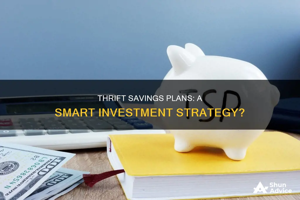 are thrift savings plan considered investments