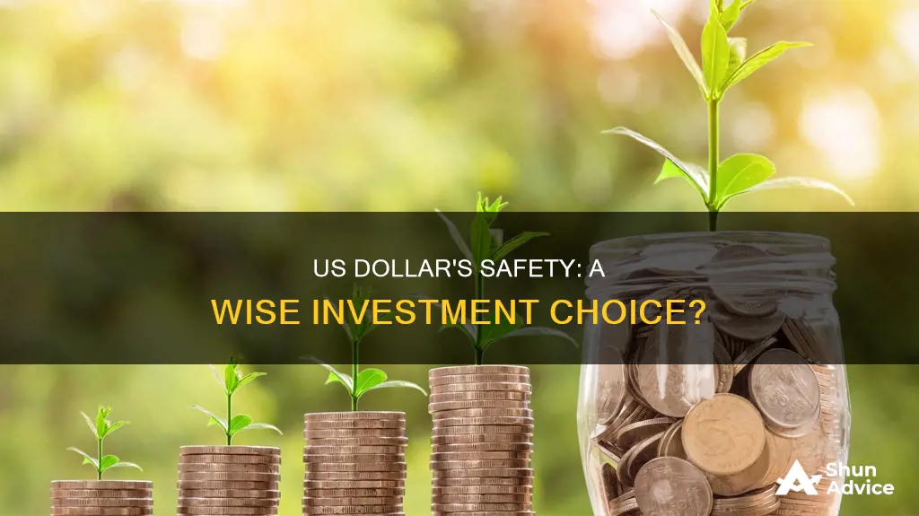 are us dollars a safe investment