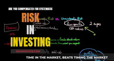 Systematic Risk: Is Compensation a Viable Investment Strategy?