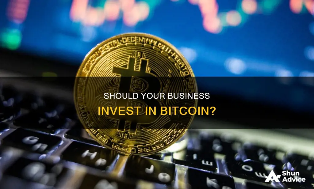 can a business invest in bitcoin