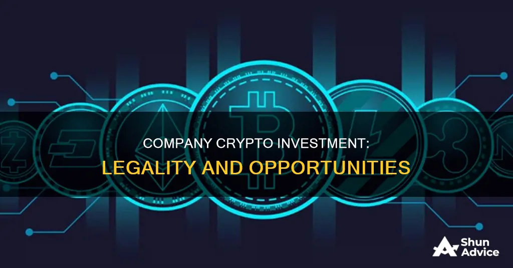 can a limited company invest in cryptocurrency