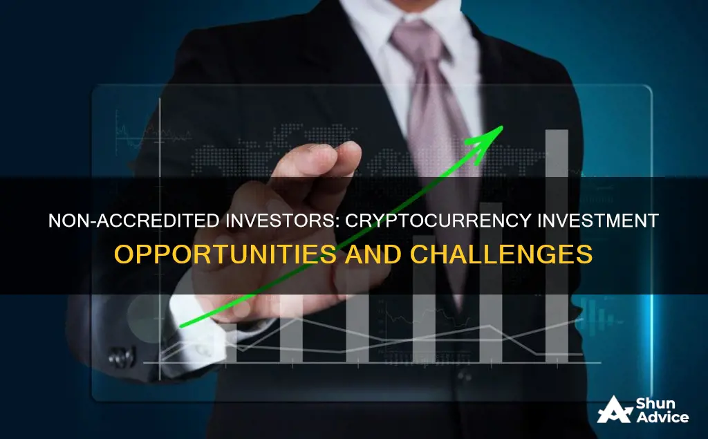 can a non accredited investor invest in cryptocurrency