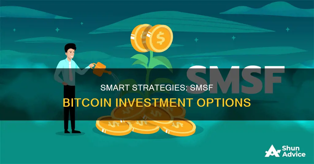 can a smsf invest in bitcoin