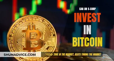 S-Corp Bitcoin Investment: What's the Verdict?