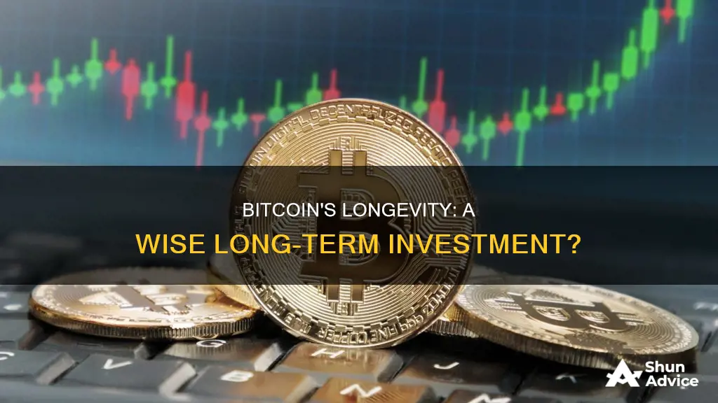 can bitcoin be a long term investment