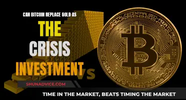 Bitcoin vs. Gold: The Future Crisis Investment?