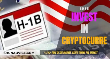 H1B Visa Holders: Cryptocurrency Investment Opportunities and Risks