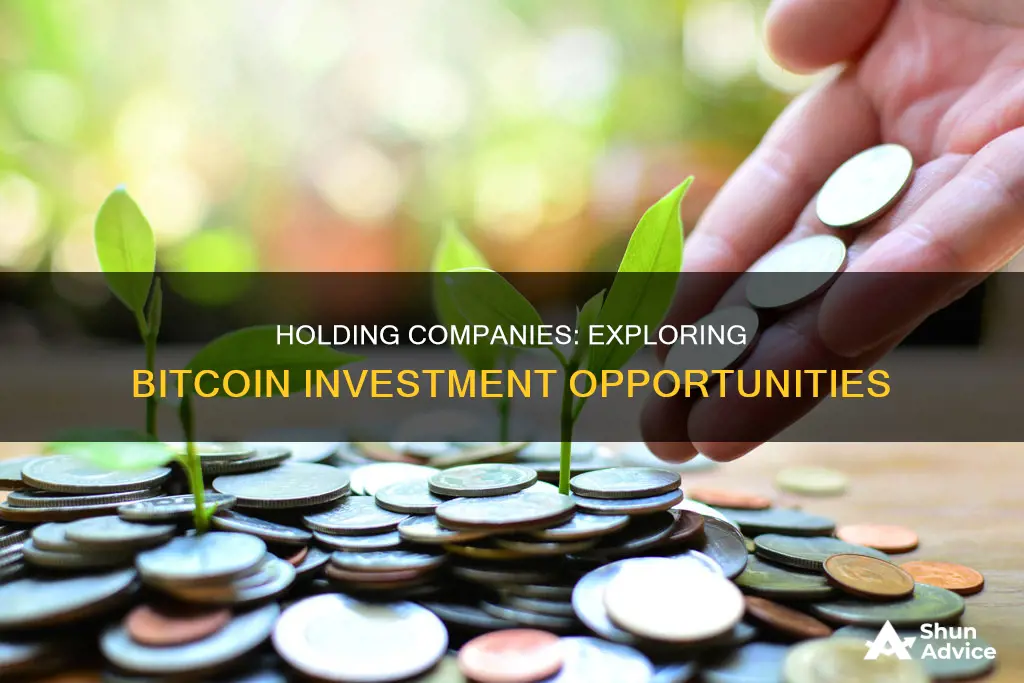 can holding companies invest in bitcoin