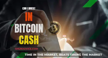 The Future of Bitcoin Cash: Is It Worth Investing?