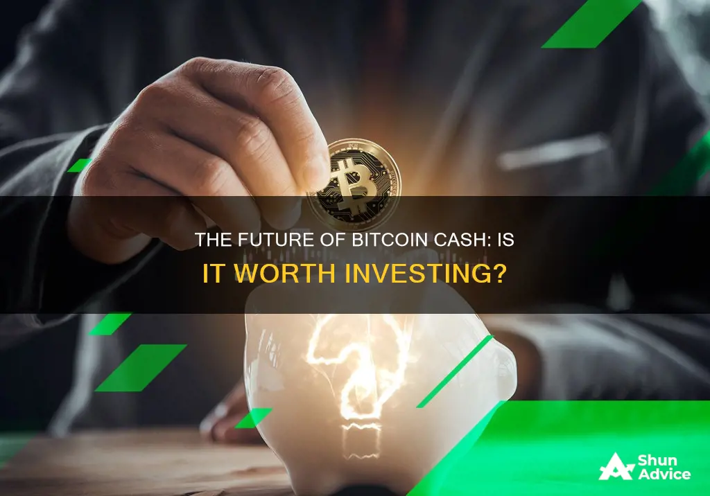 can I invest in bitcoin cash