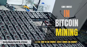 The Pros and Cons of Investing in Bitcoin Mining