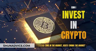 Crypto Investment: Should You Take the Plunge?