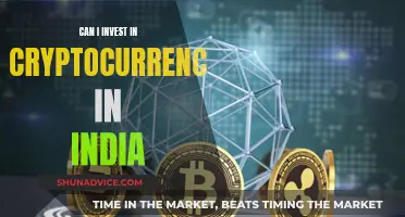 Cryptocurrency Investment in India: Is It Possible?