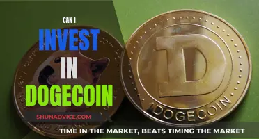 Dogecoin Investment: Is It Worth Your Money?