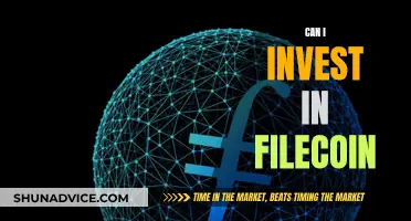 Filecoin: Worthy Investment or Digital Dead End?