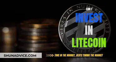 Litecoin Investment: Should You Buy?