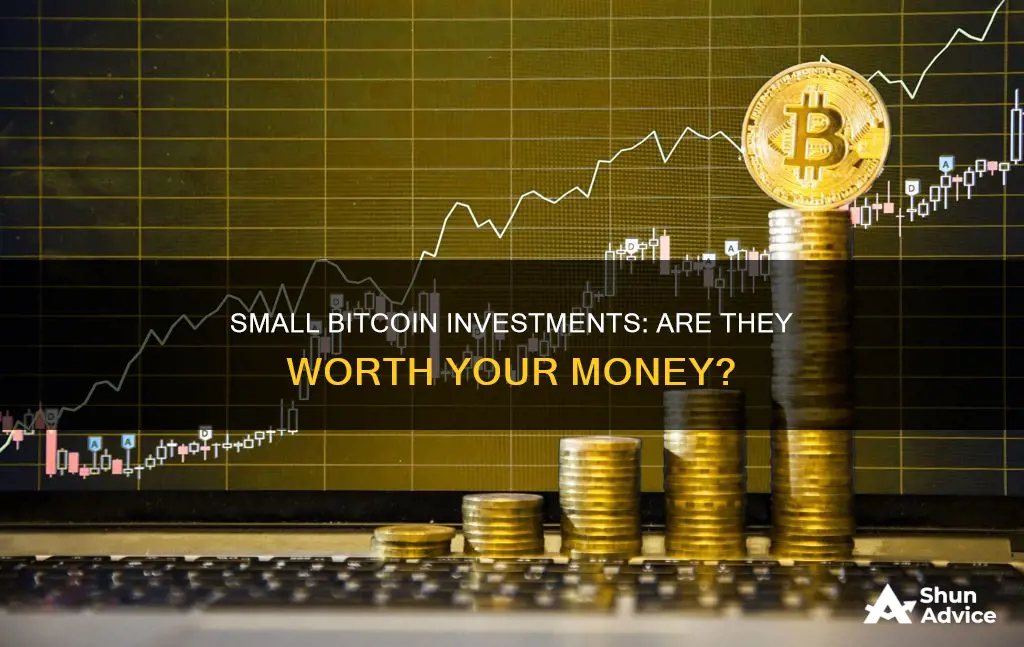 can I make money investing $100 in bitcoin