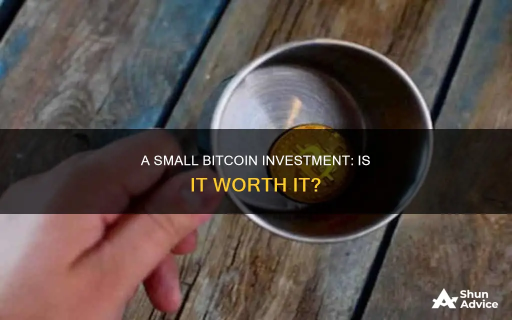 can I only invest 100 dollars in bit coin