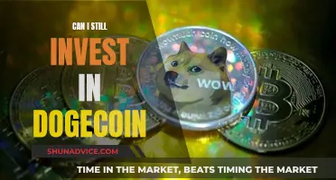 Dogecoin Investment: Is It Too Late to Buy?