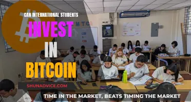 International Students: Bitcoin Investment Opportunities and Risks