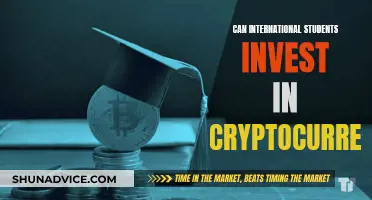 International Students: Cryptocurrency Investment Opportunities and Challenges