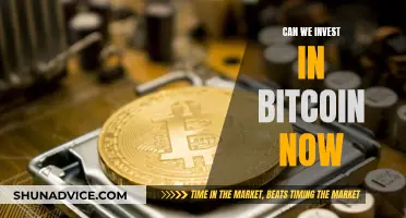 Is Bitcoin a Good Investment Option Now?