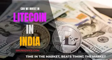 Litecoin in India: Worth Investing?