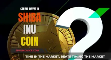 Shiba Inu Coin: Worth Your Investment?