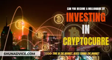 Cryptocurrency: Millionaire Dream or Risky Investment Gamble?