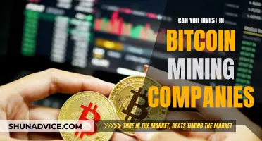 The Future of Bitcoin Mining: Investing in Companies