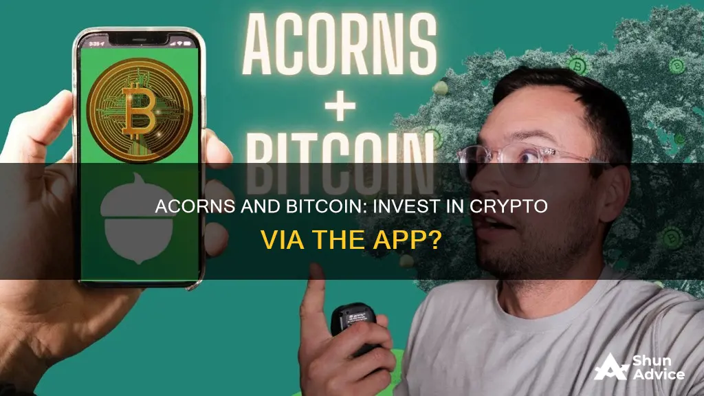 can you invest in bitcoin on acorn