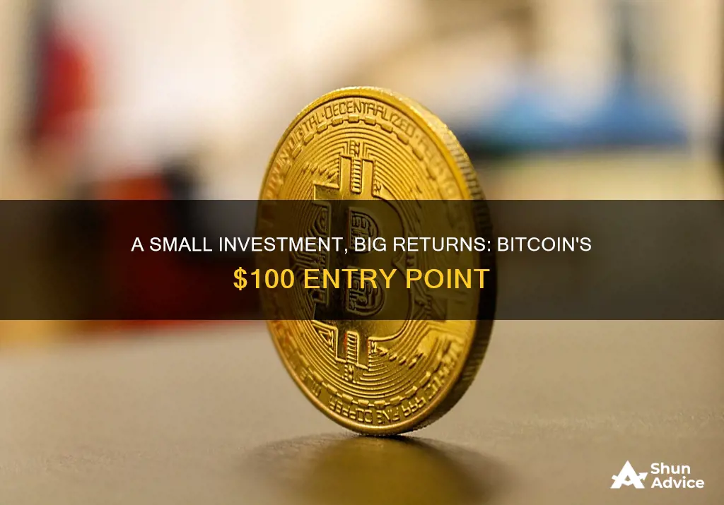 can you invest in bitcoin with $100