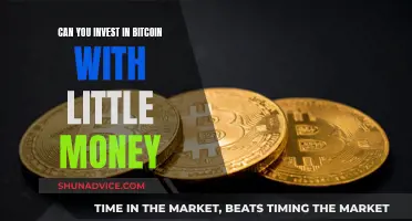 How to Invest in Bitcoin with Little Capital